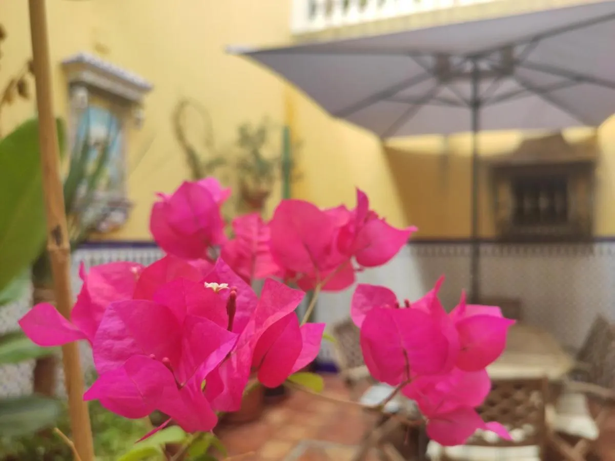 Dormir En Cadiz Guest House