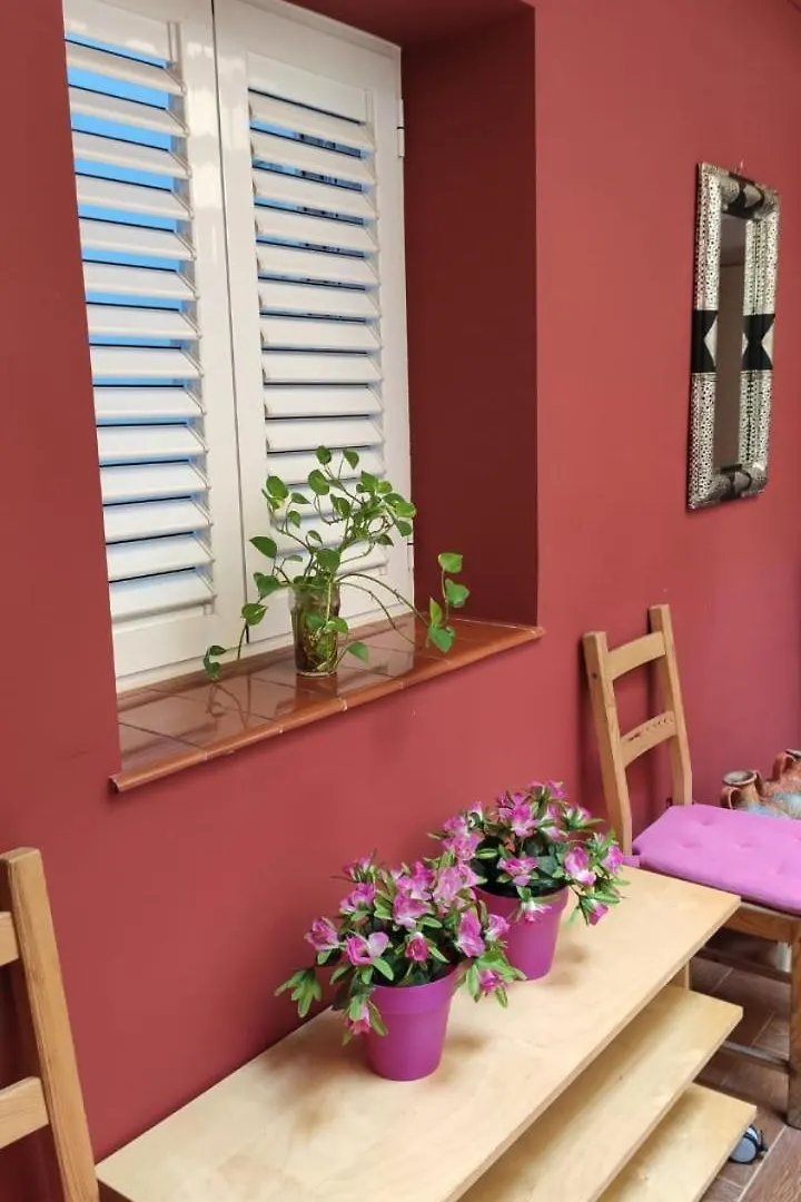 Dormir En Cadiz Guest House 0*,